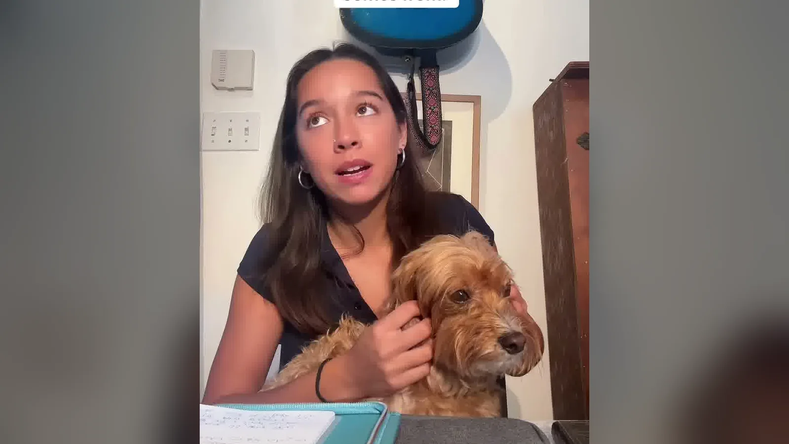 Amber King at her desk with her dog, explaining how her roofing marketing agency works.